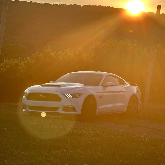 Meet your Posher, Michael - Picture 1 of 1